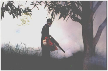 fogging