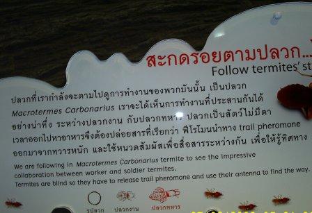 prevent